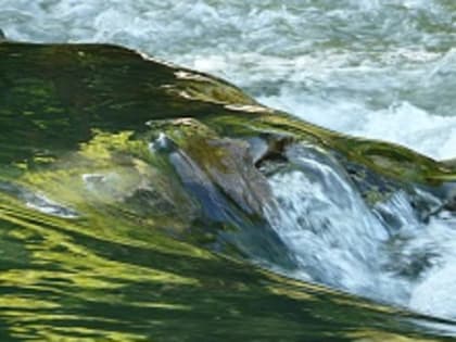 Роспотребнадзор признал воду в водоеме в Усольском районе несоответствующей санитарным нормам