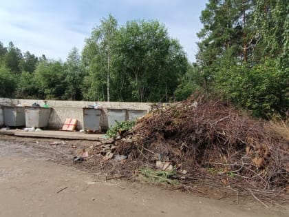 Реформа осознанного поведения,  или Как можно изменить ситуацию с мусором