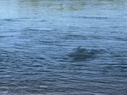 Роспотребнадзор о наличии ртути в Ангаре