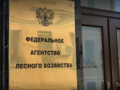 Пожароопасный сезон обсудили власти Приангарья и глава Рослесхоза