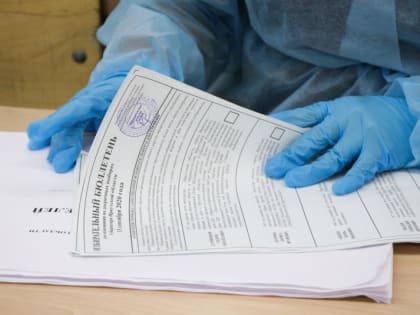 Политолог назвал качественной работу избиркома Приангарья