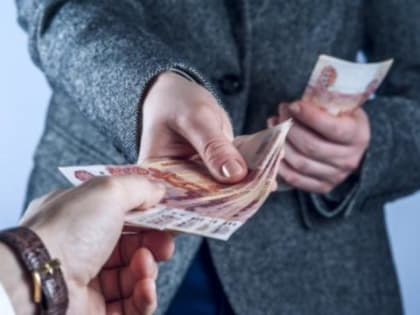 В Хабаровском крае алчный лесник получал взятки от лесопользователей