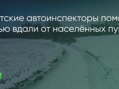 Автоинспекторы не дали замерзнуть женщинам и ребёнку на дороге в Братском районе