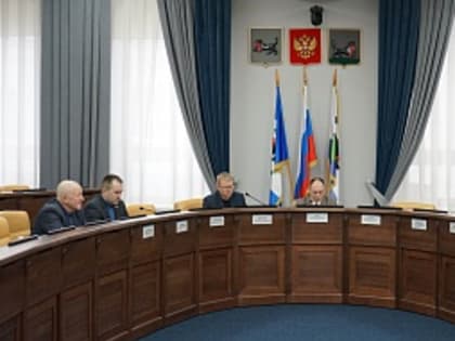 Границы семи ТОС согласовала комиссия Думы Иркутска по муниципальному законодательству и правопорядку