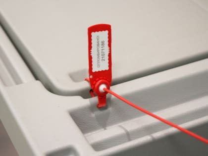 Участковые комиссии приступили к подсчету голосов на выборах ЗС Иркутской области