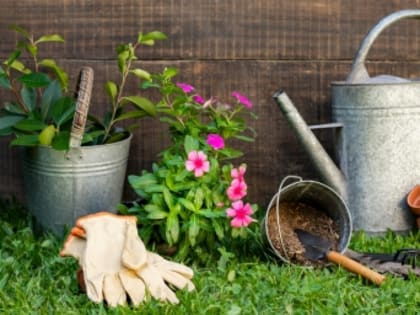 Обзор самых популярных новостей за 21 апреля