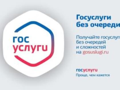 Муниципальные услуги в электронном виде