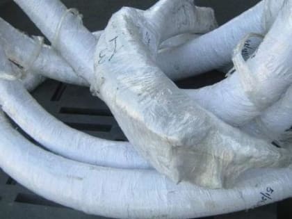 В Китай через Хабаровск вывезли 377 килограммов бивней мамонтов с Чукотки