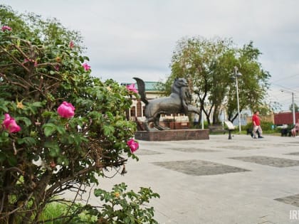 В Иркутской области 22 августа ожидаются кратковременные дожди и до +24 градусов