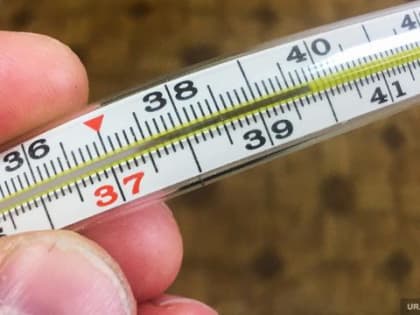 Более 20 тысяч жителей Иркутской области заболели ОРВИ