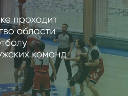 Братская команда «Динозавры» готовится к встрече с соперниками из Иркутска