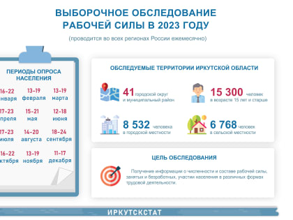 Выборочное обследование рабочей силы