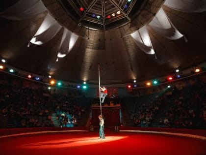 Красноярский цирк получит на продолжение реконструкции еще 200 миллионов рублей