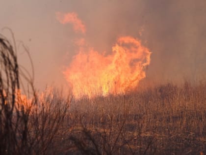 10 пожаров на площади 11786 га продолжают действовать в шести районах Иркутской области