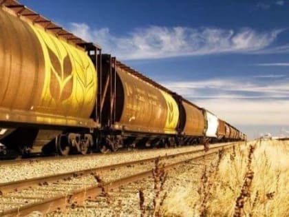 Из Приамурья вывезли более 825 тонн зерна и продуктов его переработки