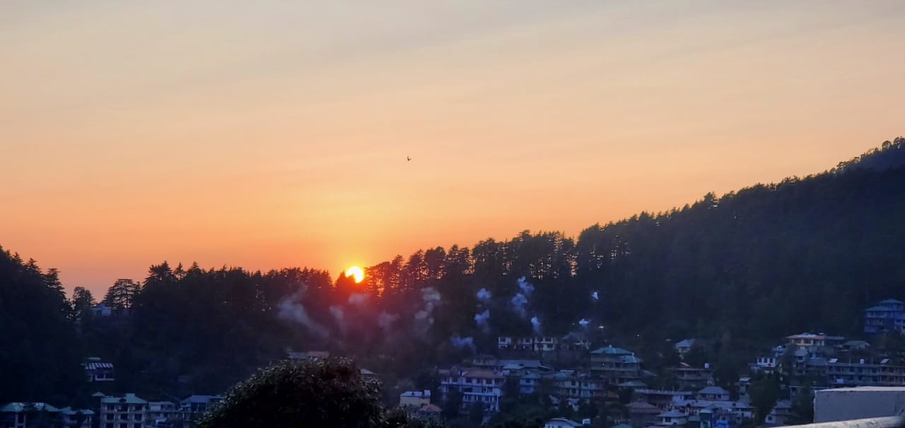 Forest trail in the mountains