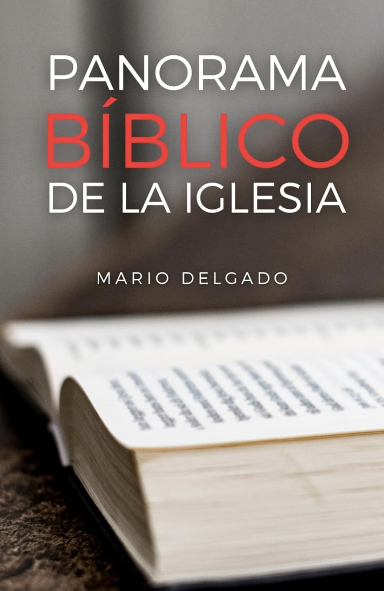 Portada de Panorama Bíblico de la Iglesia