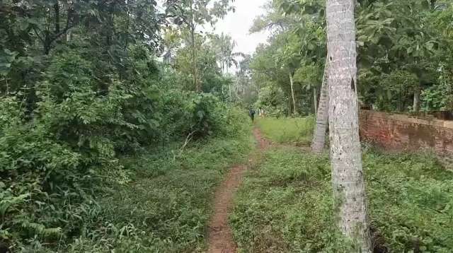 Walk and run...