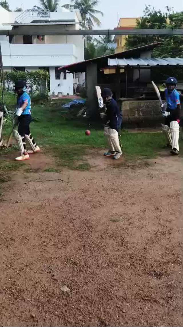 Ball eye bat...movements