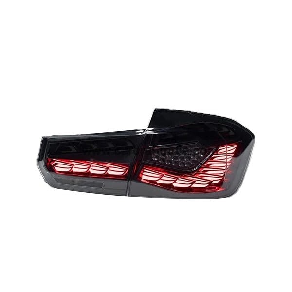 BMW F30 Dragon Style Tail Light LED
