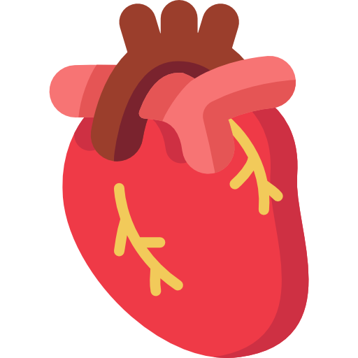 Cardiology