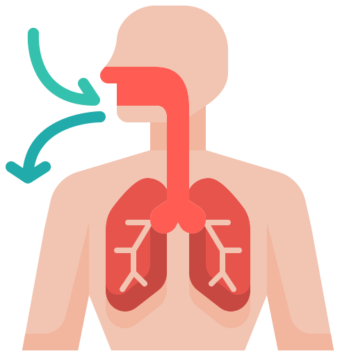 Pulmonology (Chest)