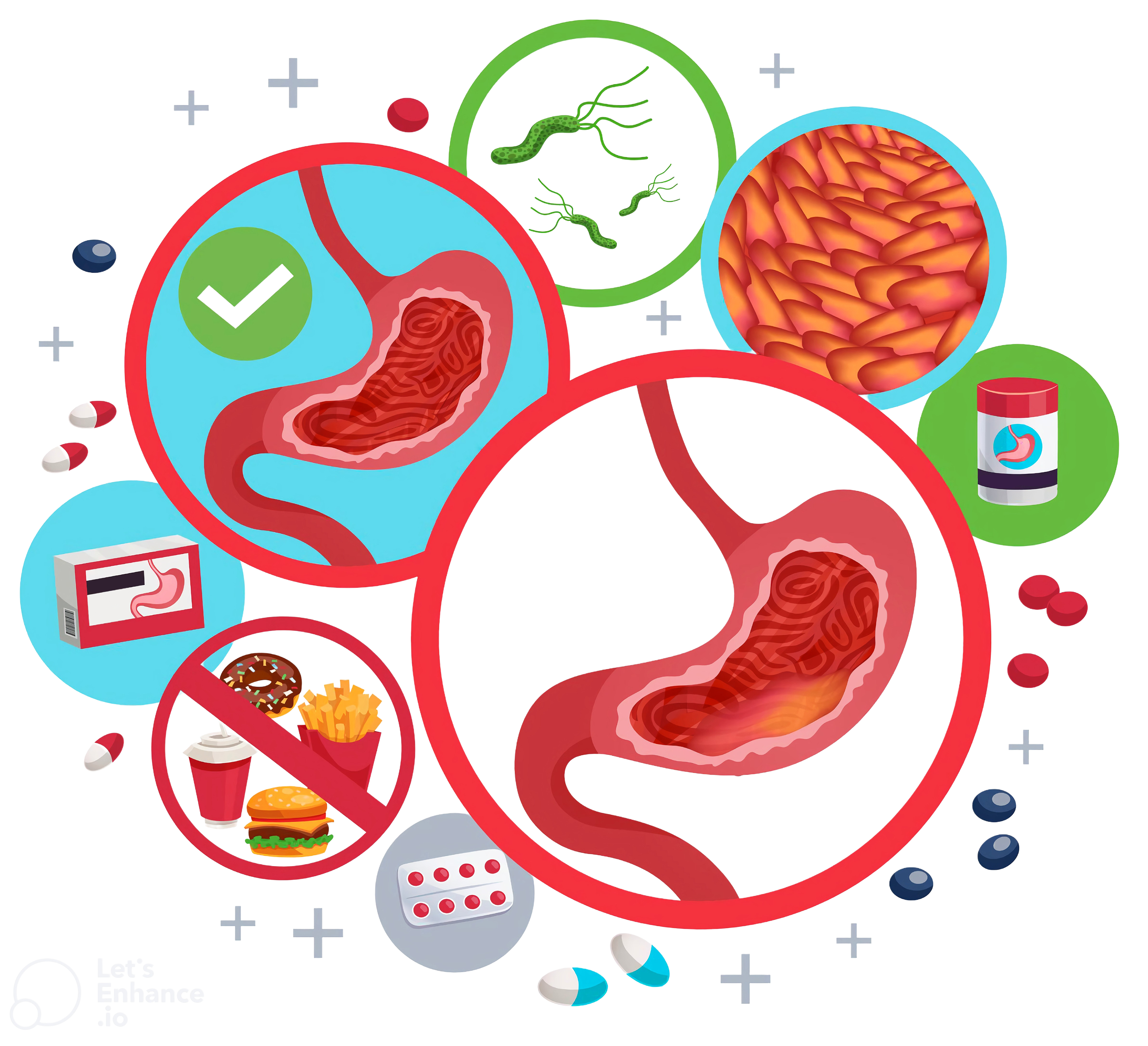 Gastroentrology