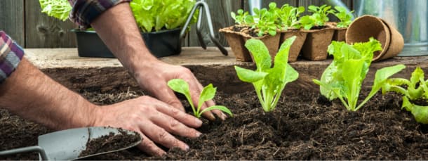 Big Garden Ideas for Small Spaces