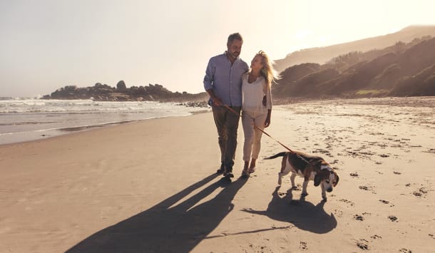 Five Autumn Grooming Tips For Pets