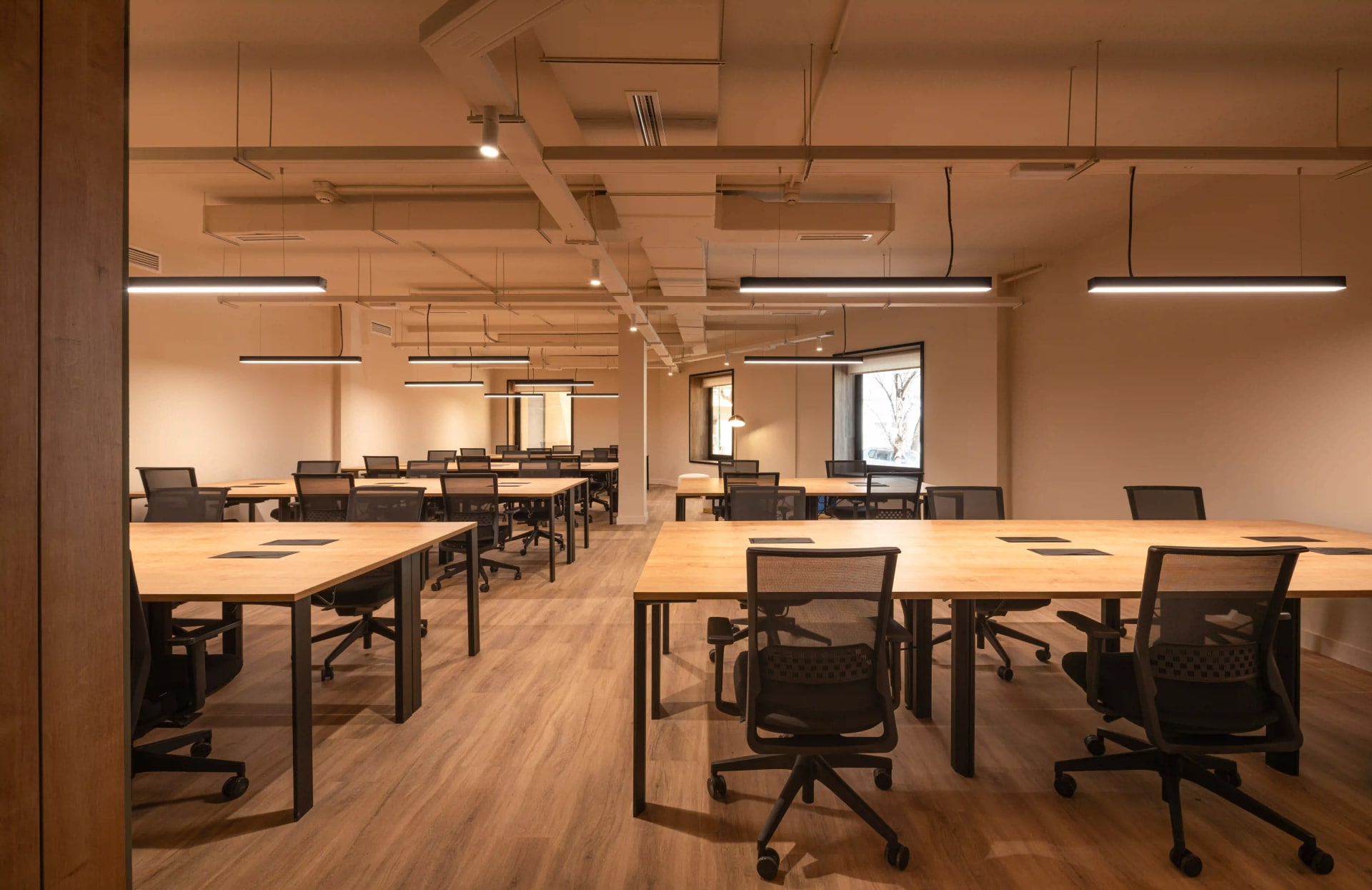 coworking malaga lehmberg oficina grande - Ciudad Jardín Málaga