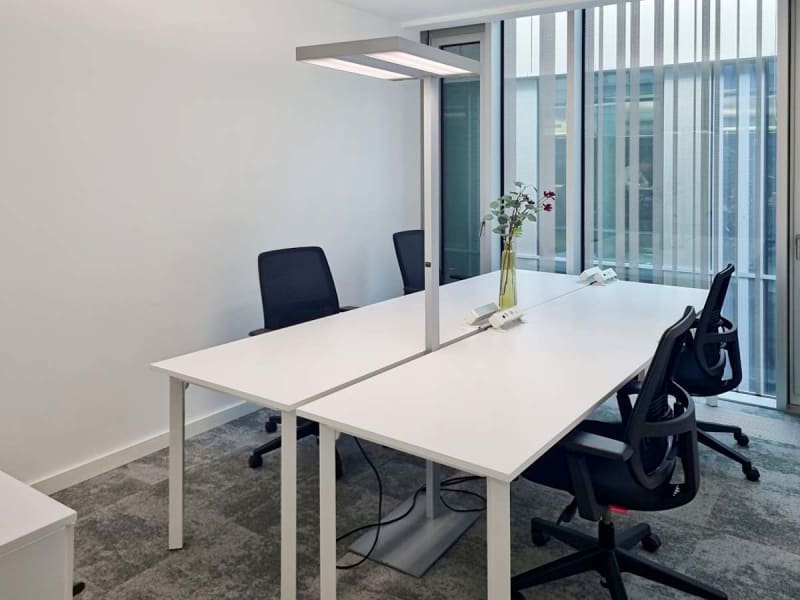 Oficina privada amplia dentro de un coworking, Flon, Voie du Chariot