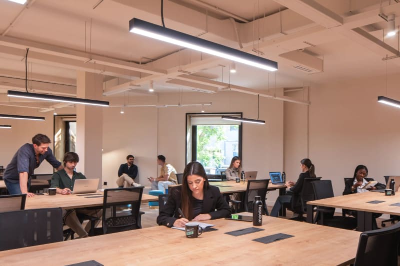 oficina todo incluido malaga lehmberg - Ciudad Jardín Málaga