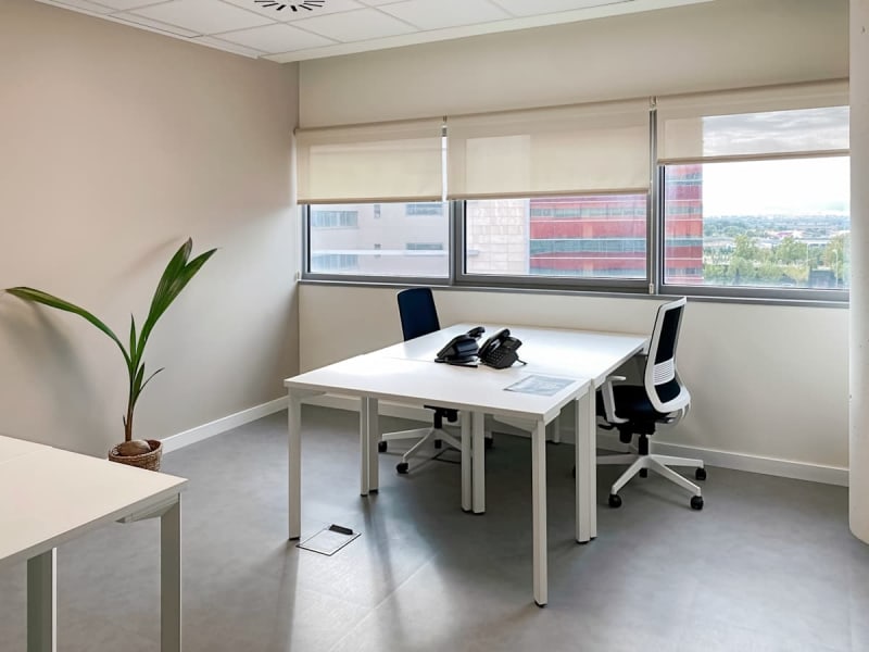 Espacio de trabajo en Madrid - imagen 4