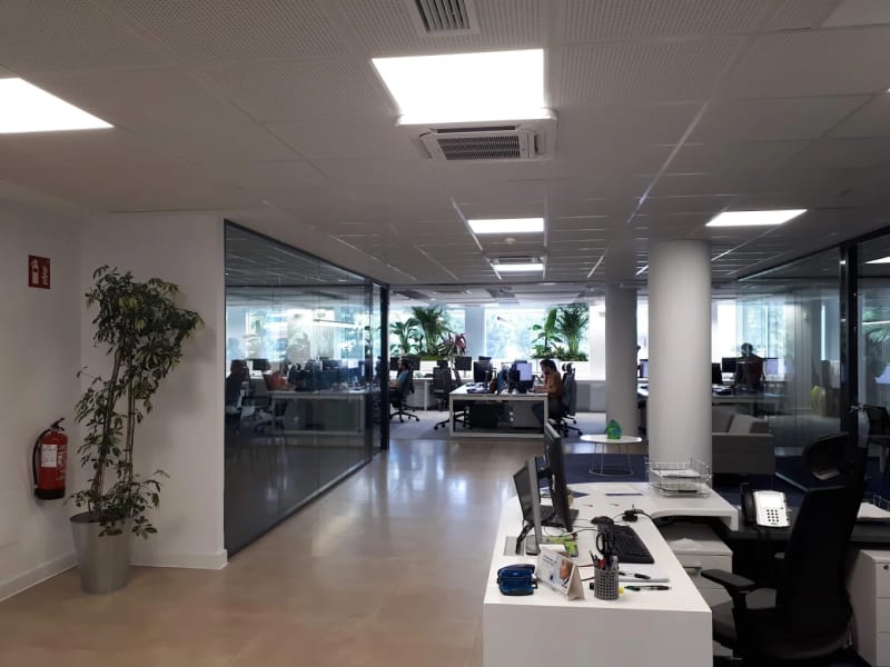 Zona de coworking abierta con puestos de trabajo y plantas en Teatinos, Málaga