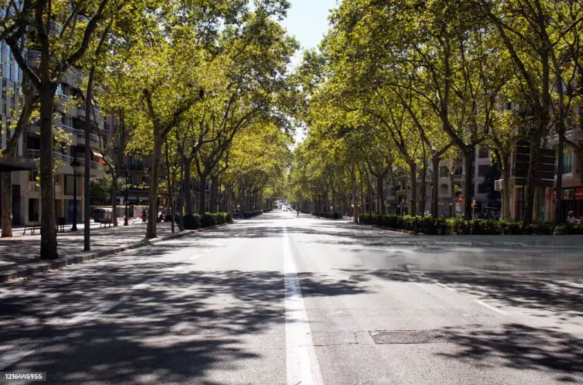 Immediate availability coworking Eixample Placa Catalunya Barcelona