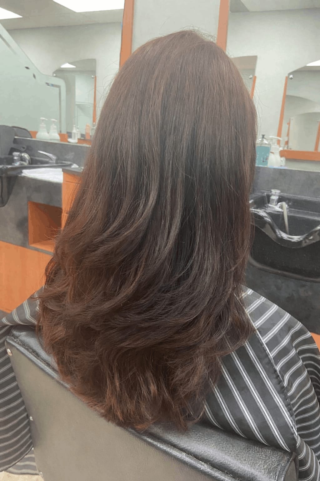 Hair Cut and Blow Dry