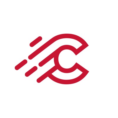 Cyberwıse logo