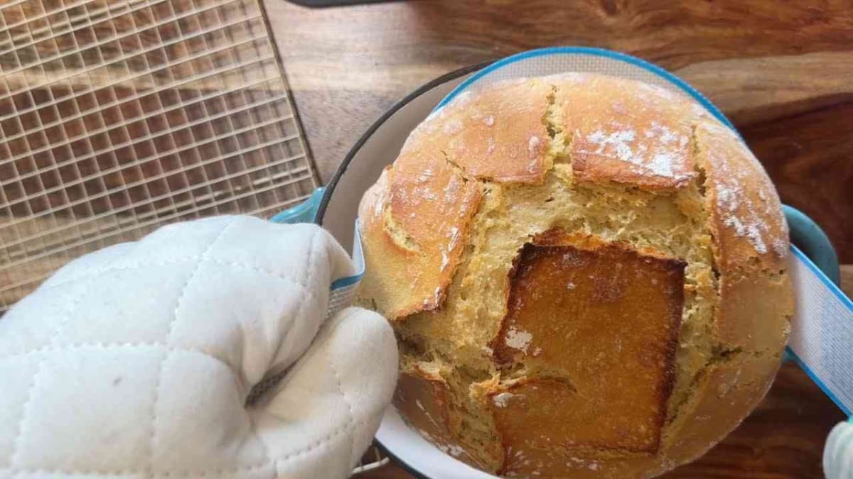 Golden Harvest Einkorn Sourdough Loaf