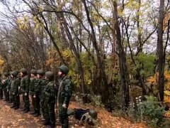 Военная прокуратура проверит батальон «Барс-Белгород» после жалобы бойца