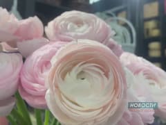 7 марта — самый цветочный день в году&nbsp;