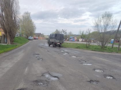 Белгородец, недовольный сельской дорогой, пытается добиться её ремонта через администрацию президента