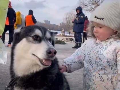 В Белгороде на пляже «Берега» прошёл семейный забег «Хаски-Trail»