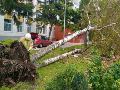 В Белгороде продолжаются работы по ликвидации последствий непогоды