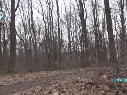 «Звериная» перепись: на Белгородчине посчитают диких животных