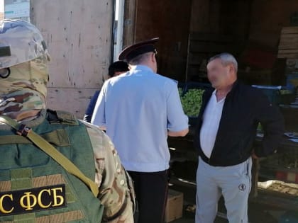 Новые законы февраля-2025: что ждёт старооскольцев и всех россиян