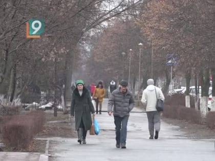 42 приговора по делам, связанным с наркотиками, вынесли в Старооскольском округе в 2024 г.