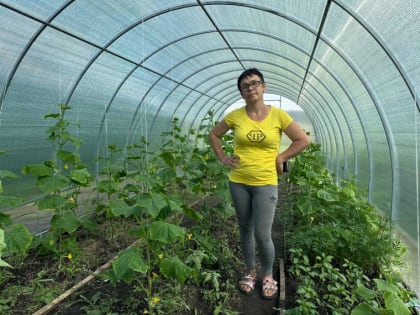 Социальный контракт помог жительнице села Шелаево заняться своим делом по выращиванию овощей в теплице