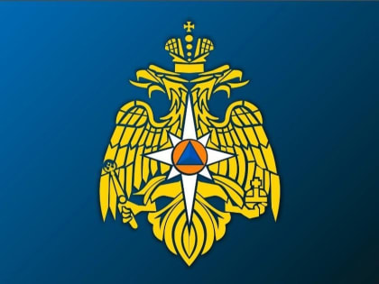 МЧС России расширяет цифровизацию государственных услуг