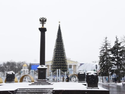 Почему на Соборной площади в Белгороде не ставят живую елку?