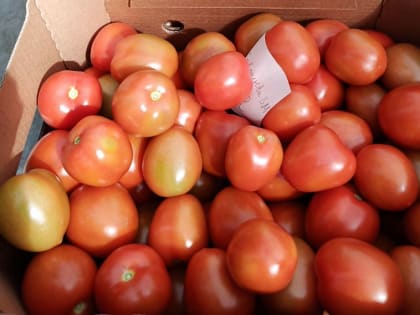 Потребительская инфляция Белгородской области в декабре составила 9,11 %